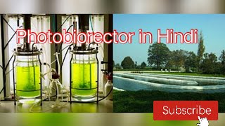 Photobioreactor in Hindi फोटोबायोरिएक्टर क्या है [upl. by Shellans994]