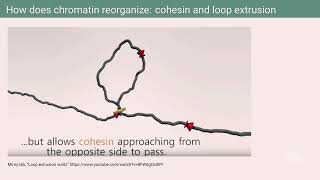 Complexity of transcriptional regulation by Rahul Siddharthan [upl. by Tnahsarp]