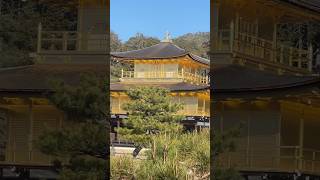 Kinkakuji Golden Pavilion In Kyoto Japan [upl. by Tucky568]