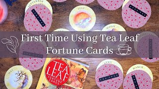 First Time Using Tea Leaf Fortune Cards [upl. by Wadesworth]