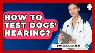 How To Test Dogs Hearing  PetGuide360com [upl. by Placidia]