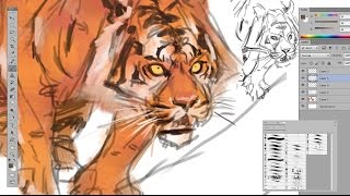 MedSketch 4  Drawing Tigers [upl. by Buff]