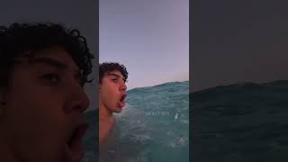 Boy found strange animal in the sea shortvideo [upl. by Showker195]