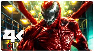 Venom Vs Carnage  Fight Scene  VENOM 2 LET THERE BE CARNAGE NEW 2021 Movie CLIP 4K [upl. by Aroon]