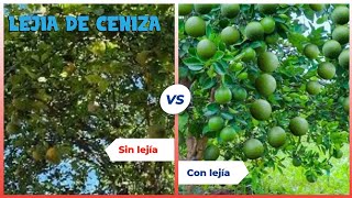 COMO HACER LEJIA DE CENIZA [upl. by Beitch]