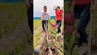 Alat pembantu pertanian agriculture petanijagung voiceeffects humor jagung jagungmuda [upl. by Ereveneug]