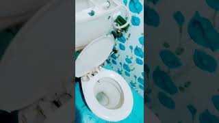 How to installation toilet seat toilet seat fitting shortfeed youtube [upl. by Ezarras]