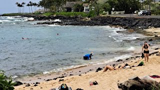 Lawai Beach quotSnorkel Spotquot in Poipu southshore Kauai Live March 25 [upl. by Gerti]