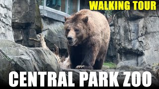 Central Park zoo  New York City NYC  Full walking tour 4k [upl. by Aevin981]