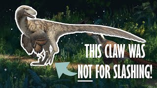 Everything you need to know about Raptors [upl. by Crawford]