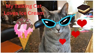 My Talking Cat Loves Ice Cream icecream talkingcat [upl. by Tessa]