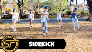 SIDEKICK  Dj Lenard Remix   Dance Trends  Dance Fitness  Zumba [upl. by Aileon]