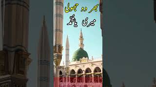 Bhardo Jholi Meri Ya Muhammad naat shorts [upl. by Uliram]