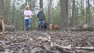 Lawsuit challenges leash law in Portlands Baxter Woods [upl. by Pliner]