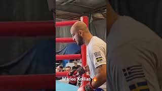 Marios Kollias ringwalk against Tamaz Izoria on Elite Boxing 🇫🇮🥊 MariosKollias Greece ringside [upl. by Aisatan840]