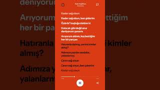 Semicenk  Kader Sağ Olsun  Lyrics  spotify speedup keşfet tiktok [upl. by Euqinna]