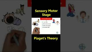 Sensory Motor Stage  Piagets Theory  CDP Shorts piaget ctet [upl. by Enialedam]