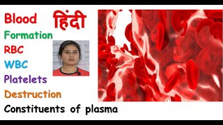 Blood anatomy amp physiology in hindi  RBC  WBC  Platelets  composition of blood [upl. by Prissy]