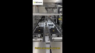 Pallet Conveyor System Modular Conveyor For Industrial Automated Assembly Line [upl. by Dolorita]