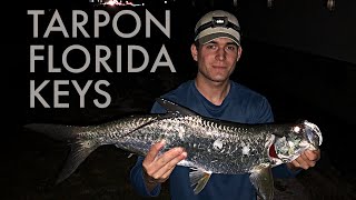 Tarpon Fishing From Shore Florida Keys January 2023 [upl. by Margaretha527]