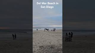 Del Mar Beach view [upl. by Zolly]