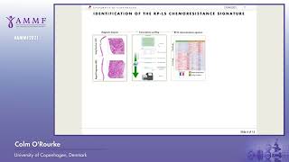 Colm ORourke University of Copenhagen Denmark  Poster Presentations 2021 [upl. by Rani]