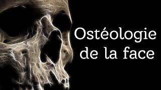 Anatomie  Osteologie de la face [upl. by Trin379]