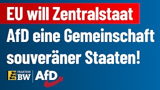 EU will Zentralstaat – AfD eine Gemeinschaft souveräner Staaten [upl. by Margarete978]