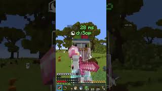 The dumbest trap ever minecraft hoplitetrapping [upl. by Rea]