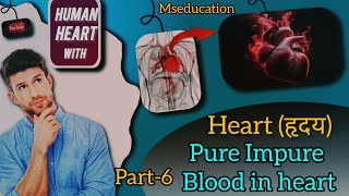 Heart Chambers Pure and Impure Blood and Blood Vessels Explained  Class 6to10  Neet  2024 [upl. by Ferro]