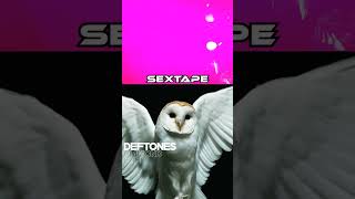 Five Songs To Get Into Deftones Shorts [upl. by Ahsekal]