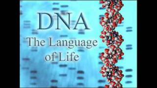 Dr Stephen Meyer  Genetics Proves Design and Disproves Evolution PT 2 of 2 [upl. by Augusta]