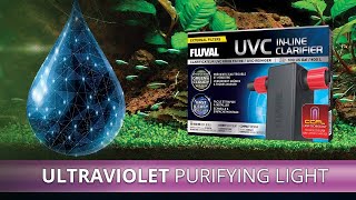 Fluval UVC InLine Clarifier [upl. by Arihsay]