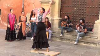 Flamenco dance 1 in Granada 2015 [upl. by Lindblad]