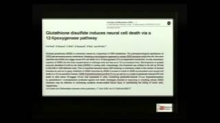 PINC 2013 Palm Tocotrienol Against Stroke by Prof Dr Chandan Sen [upl. by Florencia910]