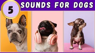 🤔5 Sounds That Tilt Dogs Heads and Make Your Dog Go Crazy [upl. by Haldane]