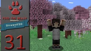 FTB Direwolf20 Ep31  Draconic Evolution 101 [upl. by Perceval13]