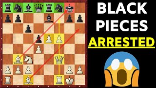 Petrov Defense Cochrane Gambit For White [upl. by Yemiaj]