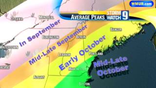 New Hampshire Fall Foliage Report Sept 6 [upl. by Ecydnarb741]