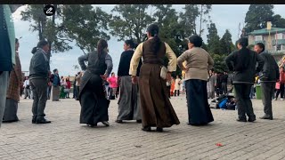 Group Tibetan Dance on Chowrasta Darjeeling [upl. by Burtis]