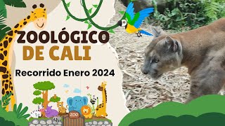 Zoológico De Cali Enero 2024 [upl. by Dalohcin41]