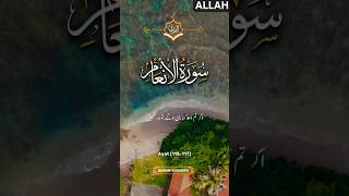 SURAH AL ANAM🥰🥀Urdu translation surahanam islamicvideo youtubeshorts quran [upl. by Lenrow]