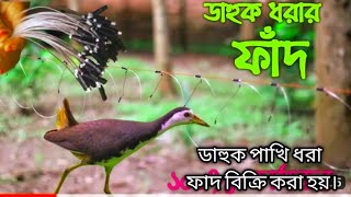 waterhe amazing dahuk Bird trap  dahuk pakhi dhora fadhash dhora fadcock dhora fad [upl. by Yelyr]