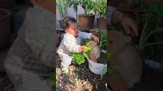 When cute babies meet cute rabbits cute pets debut plan dogs rural cute pets [upl. by Oniotna]