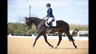 Novice 38 dressage test at ROR winter champs Pickering Grange OTTB [upl. by Estes]