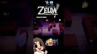 Escape del calabozo  Zelda Echoes of Wisdom link zelda zeldaechoesofwisdom ganon hechigamer [upl. by Harlie704]