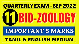 11th Bio Zoology Important 5 Mark Questions  11th Bio Zoology Important Questions 2022  Kalvi Tube [upl. by Nikal]