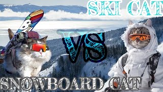 Skiing VS Snowboarding Which Snow Cat Wins [upl. by Enidanreb]