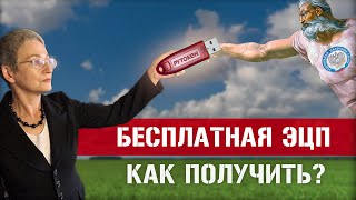 Бесплатная ЭЦП от ФНС Как получить электронную подпись в налоговой [upl. by Ulphi687]