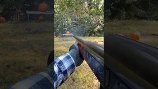 Buckshot VS Birdshot VS Pumpkins 7 yards 16 gauge pewpew shorts short airsoft hunting [upl. by Aym232]